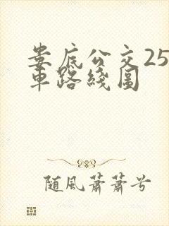 娄底公交25路车路线图