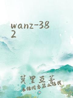 wanz-382