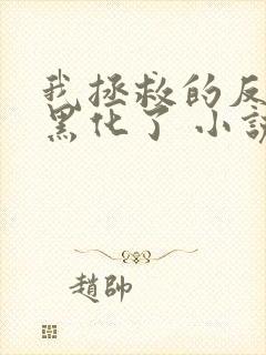 我拯救的反派都黑化了 小说