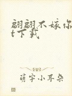 翩翩不嫁你txt下载