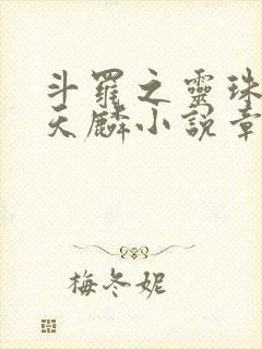 斗罗之灵珠神剑天麟小说章节目录