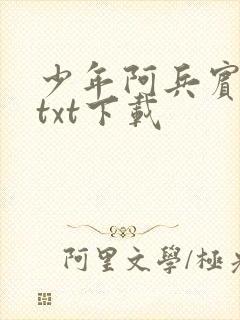 少年阿兵宾小说txt下载