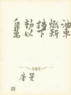 自动挡燃油车5万以下新车