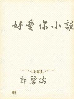 好爱你小说