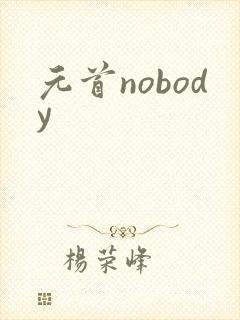 元首nobody