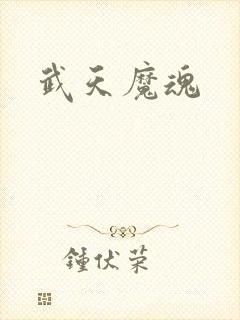 武天魔魂
