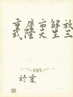 重庆市解放碑到武隆天生三桥风景区