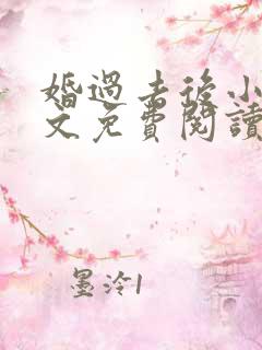 婚过去后小说全文免费阅读