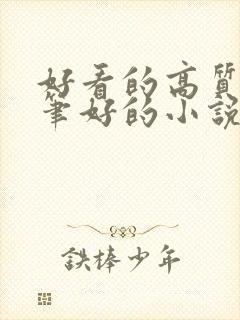 好看的高质量文笔好的小说