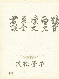 君慕凛白鹤染小说全文免费阅读