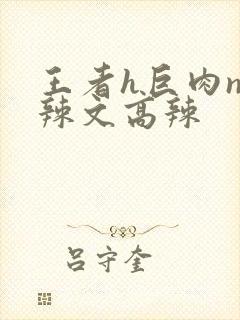 王者h巨肉np辣文高辣