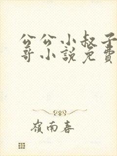 公公小叔子爸爸哥小说免费阅读全文