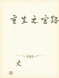 重生之官路情长