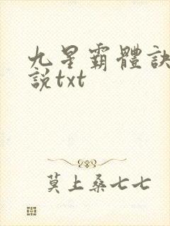 九星霸体诀 小说txt