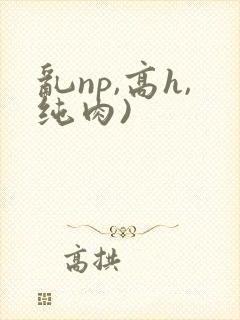 乱np,高h,纯肉)