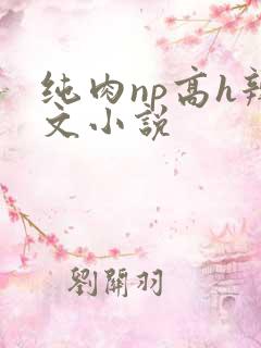 纯肉np高h辣文小说