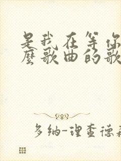 是我在等你是什么歌曲的歌词