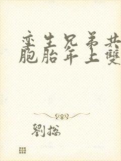 孪生兄弟共感双胞胎年上双男主小说