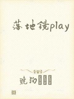 落地镜play