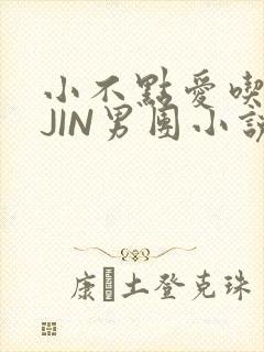 小不点爱吃肉混JIN男团小说