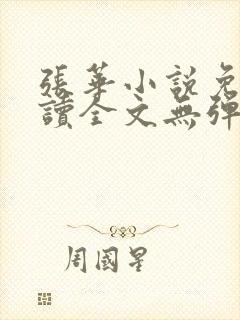 张华小说免费阅读全文无弹窗