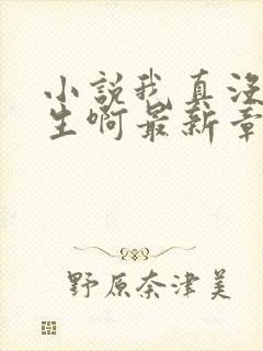 小说我真没想重生啊最新章节