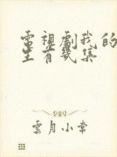 电视剧我的后半生有几集