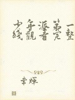 少年派第一季在线观看完整版免费观看