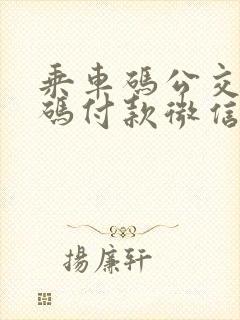 乘车码公交二维码付款微信