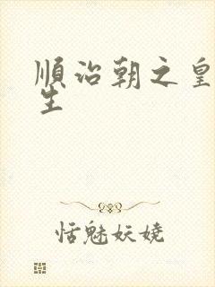 顺治朝之皇后重生