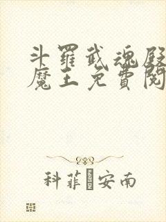 斗罗武魂殿的黑魔王免费阅读