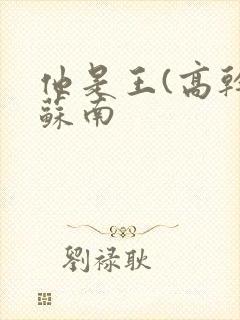 他是王(高干)苏南