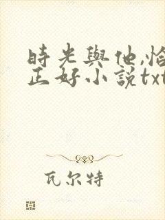时光与他,恰是正好小说txt
