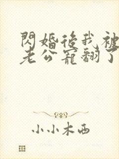 闪婚后我被上司老公宠翻了免费阅读