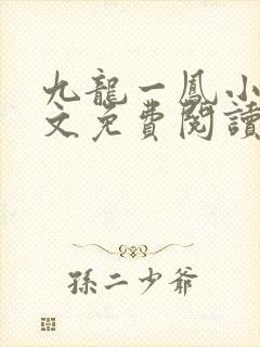 九龙一凤小说全文免费阅读无弹窗