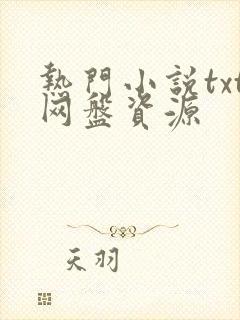 热门小说txt网盘资源