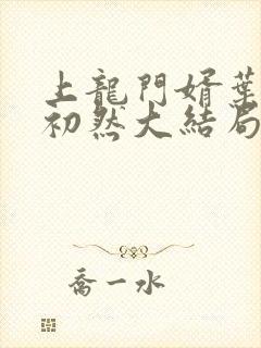 上龙门婿叶辰萧初然大结局