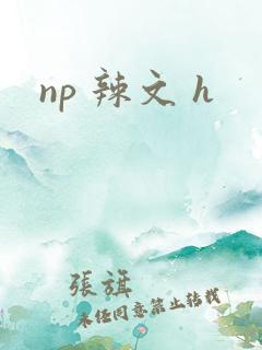 np 辣文 h