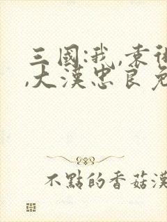 三国:我,袁术,大汉忠良免费阅读全文