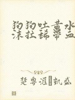 狗狗吐黄水带泡沫拉稀带血