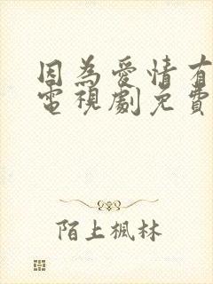 因为爱情有幸福电视剧免费观看全集