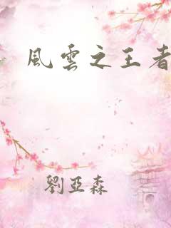 风云之王者人生