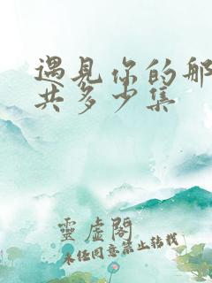 遇见你的那天一共多少集