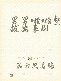 男男啪啪整夜不拔出来BI