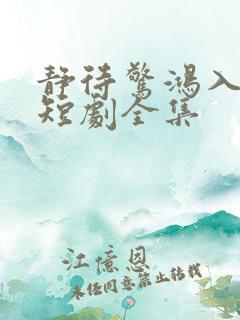 静待惊鸿入翁慌短剧全集