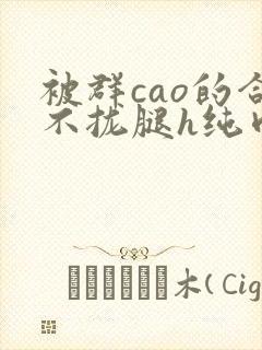 被群cao的合不拢腿h纯肉视频