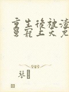 重生后被渣男舅舅宠上天免费全集