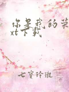 你是我的荣耀txt下载