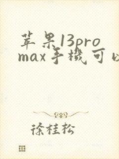 苹果13promax手机可以微信分身吗