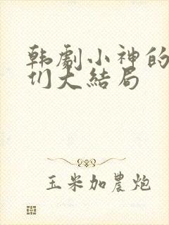 韩剧小神的孩子们大结局